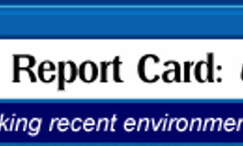 ArcticReportCardheader_01