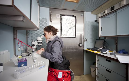 Alfred Wegener Institute profile 2