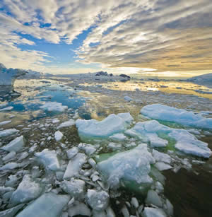 Momatiuk - OVSQ Arctic Week