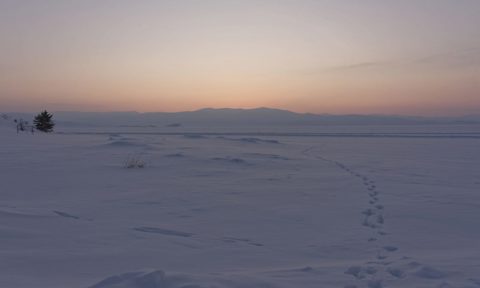 Public consultation on co-creating research projects