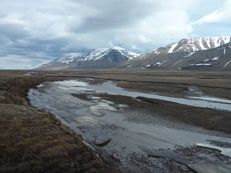 TN Teacher Education Arctic ASSW