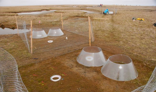 Community And Global Change Ecology Lab