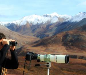 Denali National Park and Preserve, Alaska