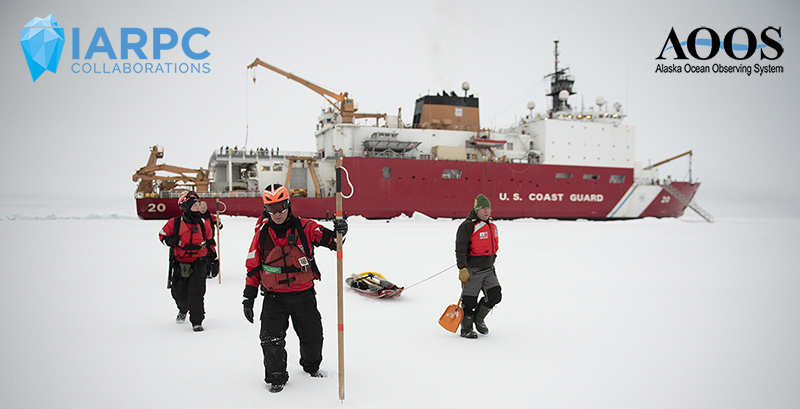 Research Update Newsletter Header For Website