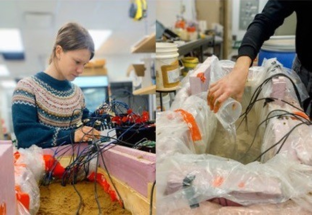 SEDNA News Article Anna Stasiewicz Modelling (1)