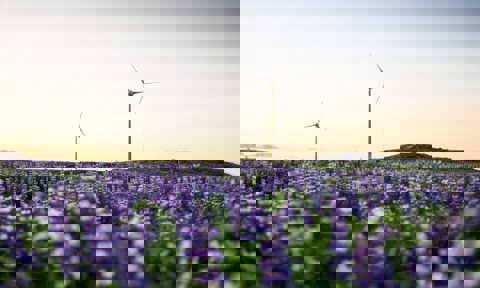 IGEC Conference Windmill Banner