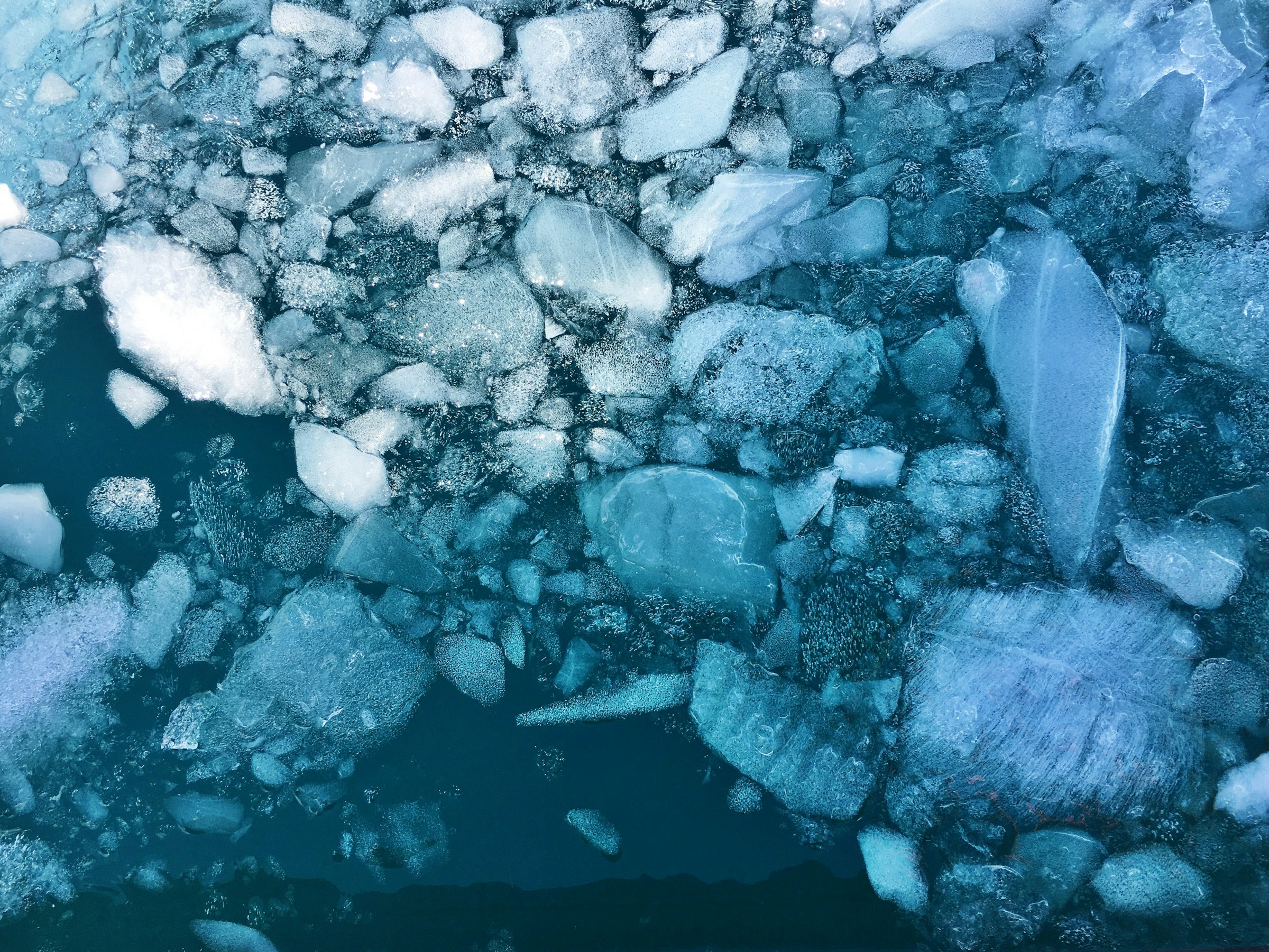 PHOTO: Cassie Matias / Unsplash