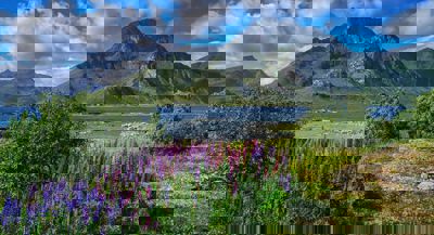  PHOTO: Stein Egil Liland