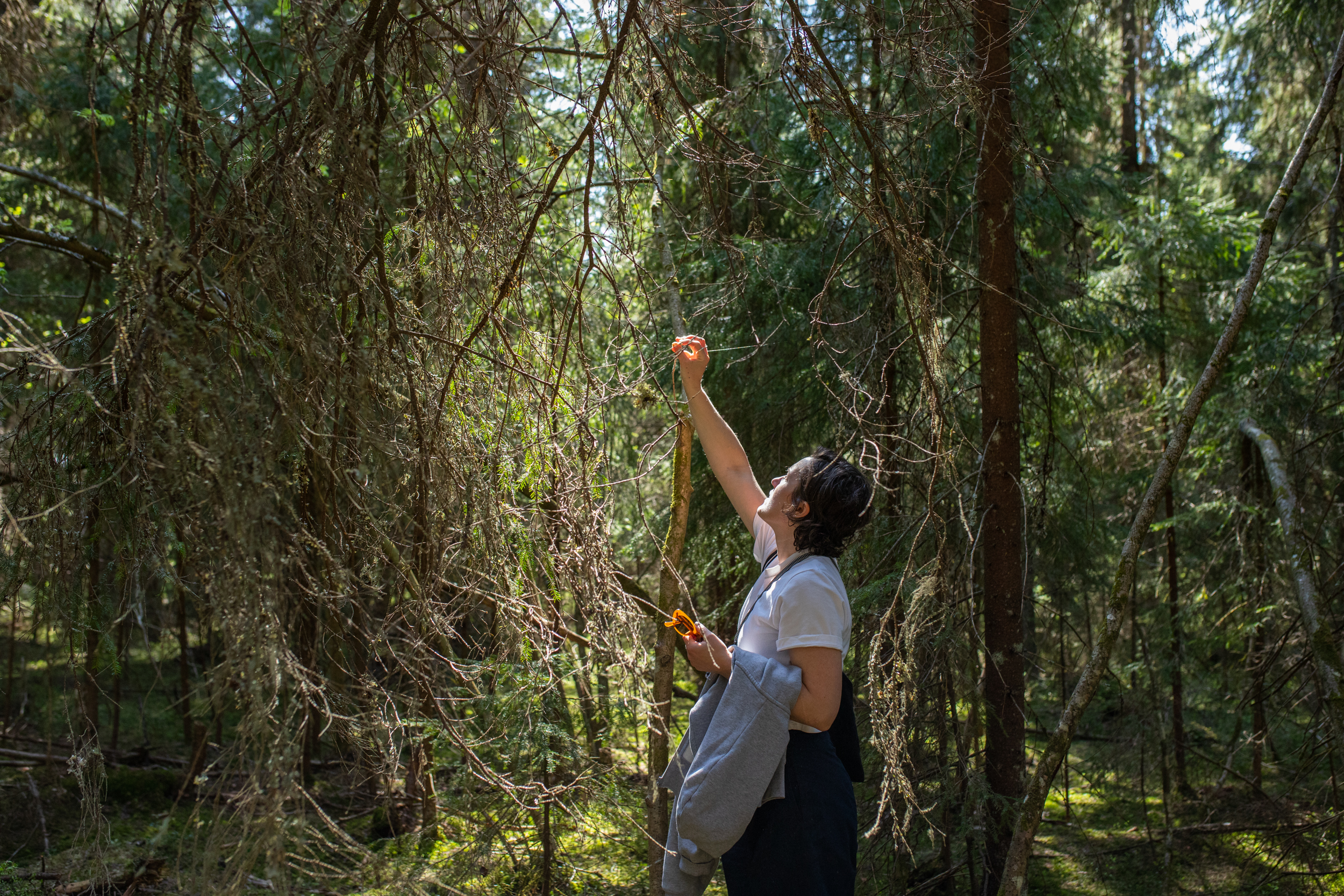 Photo: Mari Parpala, 2023