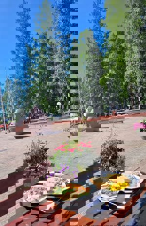 Lunch With Friends At The University Of Lapland